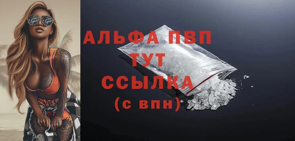 a pvp Новозыбков
