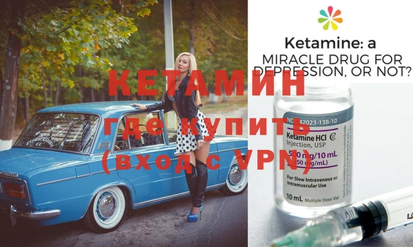 a pvp Новозыбков